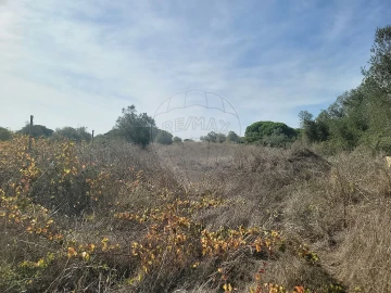 Terreno para Venda em São João das Lampas e Terrugem