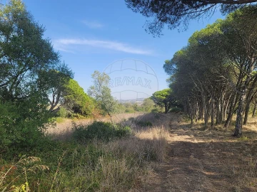 Terreno para Venda em São João das Lampas e Terrugem