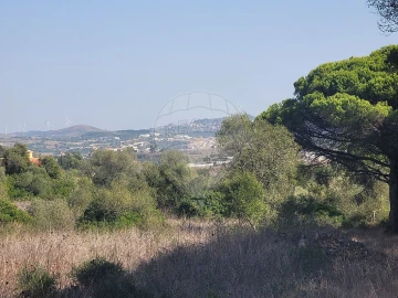 Terreno para Venda em São João das Lampas e Terrugem