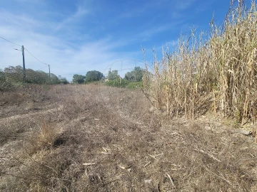 Terreno para Venda em São João das Lampas e Terrugem