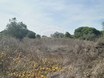Terreno para Venda em São João das Lampas e Terrugem