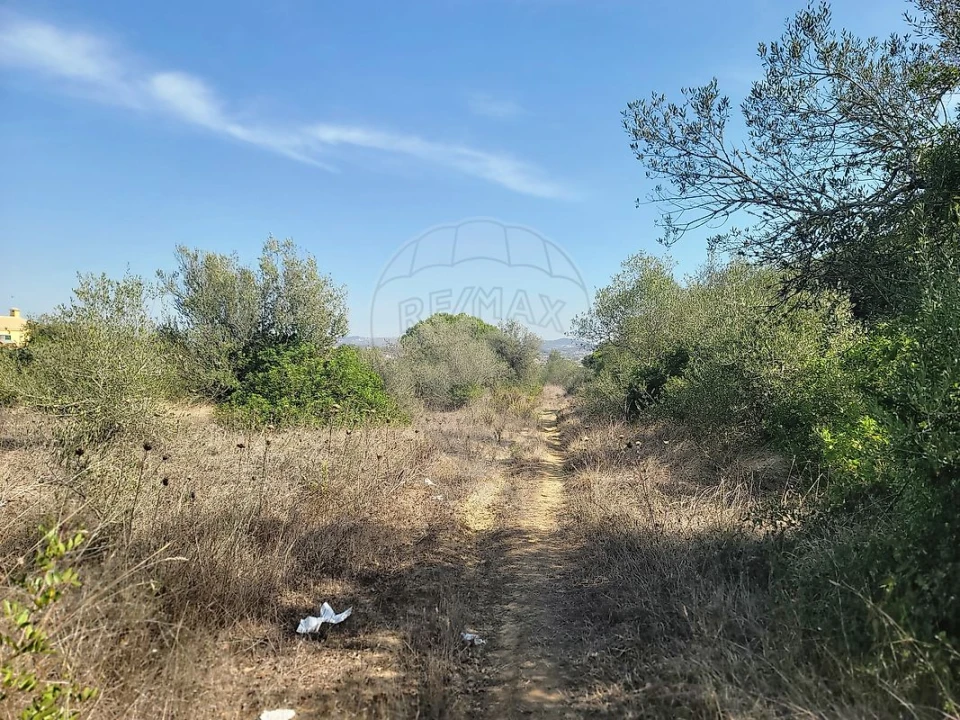Terreno para Venda em São João das Lampas e Terrugem Foto 16