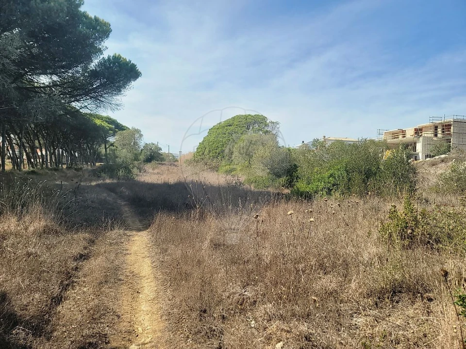 Terreno para Venda em São João das Lampas e Terrugem Foto 18
