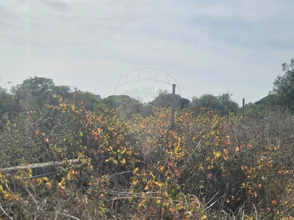 Terreno para Venda em São João das Lampas e Terrugem Foto 22