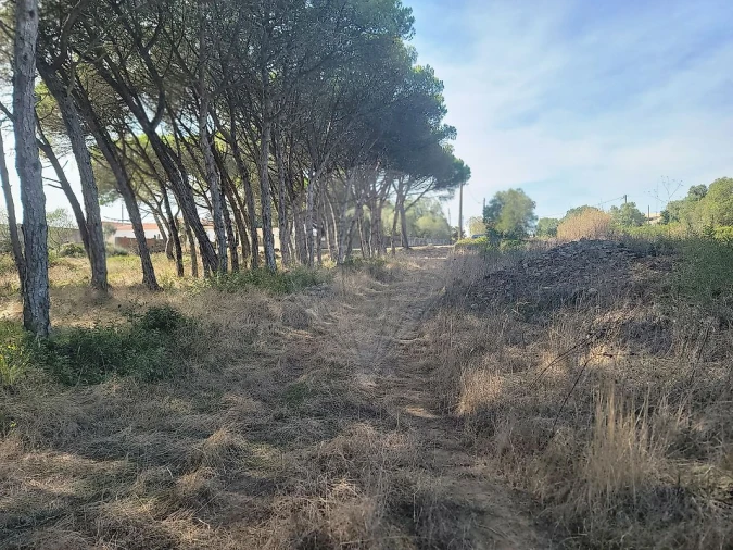 Terreno para Venda em São João das Lampas e Terrugem Foto 14