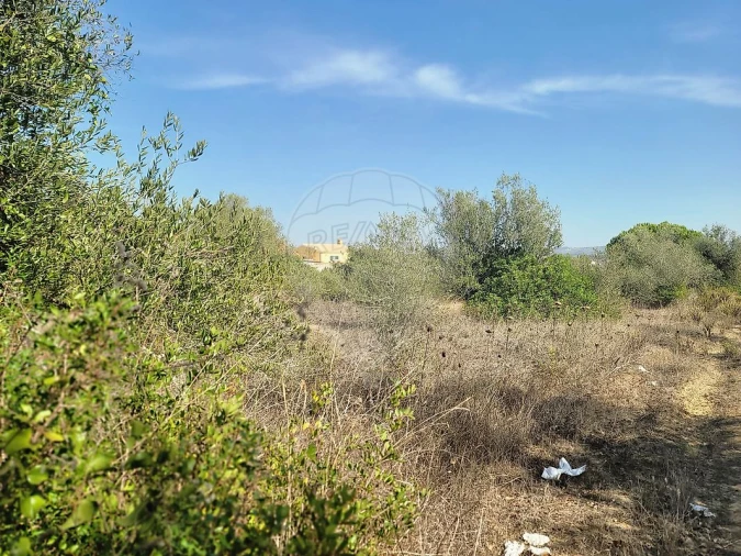 Terreno para Venda em São João das Lampas e Terrugem Foto 19