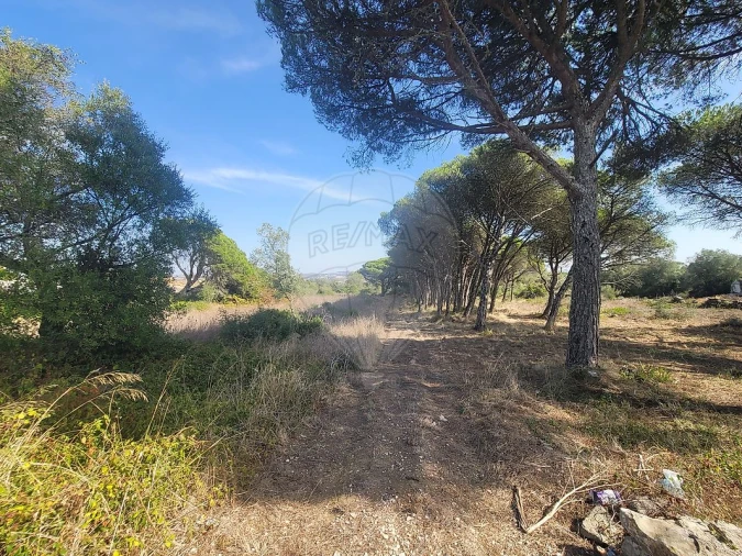 Terreno para Venda em São João das Lampas e Terrugem Foto 7