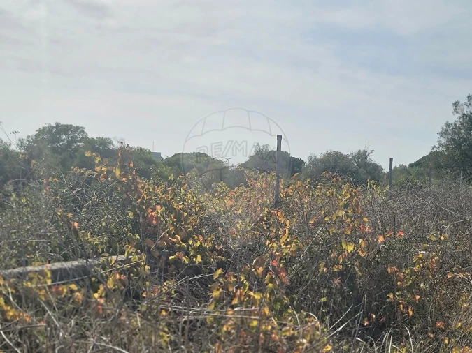 Terreno para Venda em São João das Lampas e Terrugem Foto 22