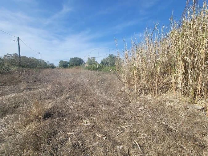 Terreno para Venda em São João das Lampas e Terrugem Foto 2