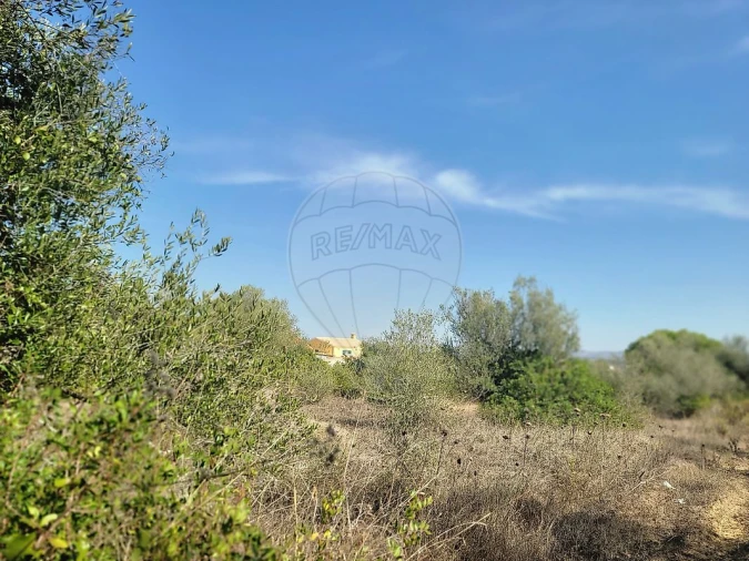 Terreno para Venda em São João das Lampas e Terrugem Foto 20