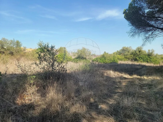 Terreno para Venda em São João das Lampas e Terrugem Foto 12