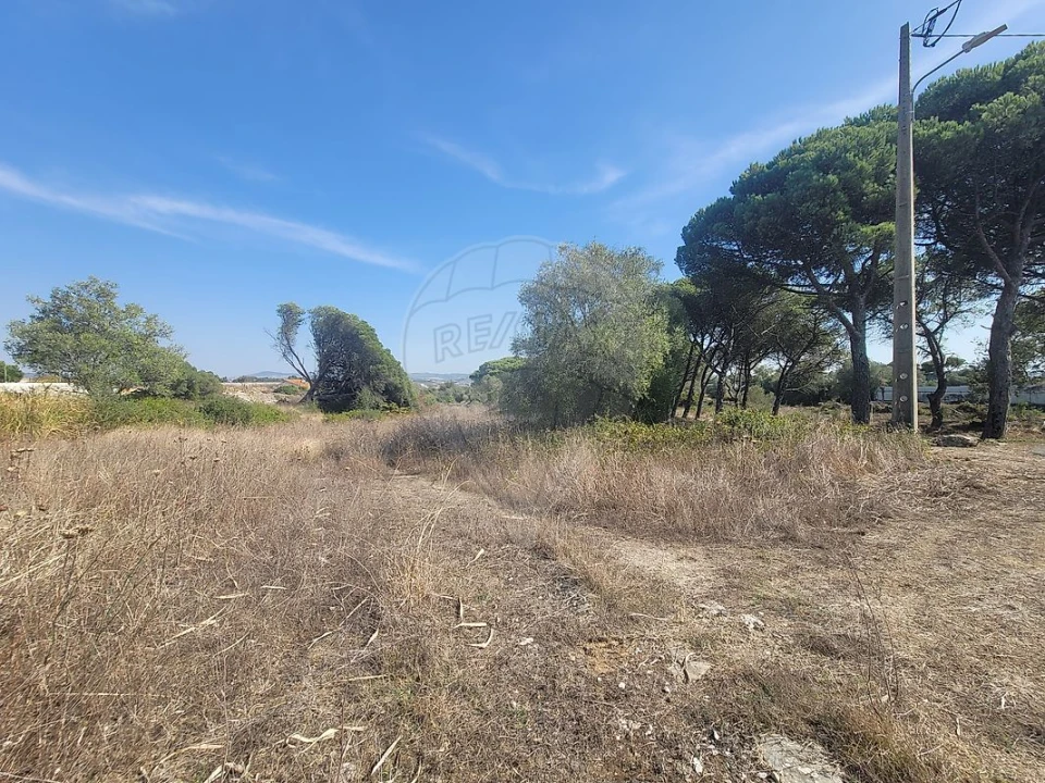 Terreno para Venda em São João das Lampas e Terrugem Foto 1