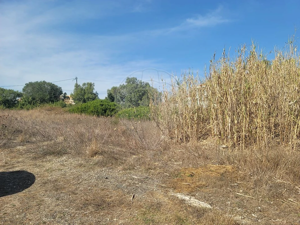 Terreno para Venda em São João das Lampas e Terrugem Foto 10