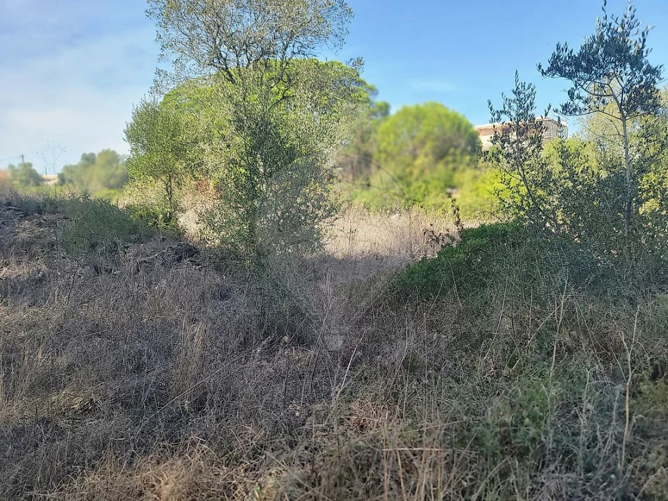 Terreno para Venda em São João das Lampas e Terrugem Foto 13
