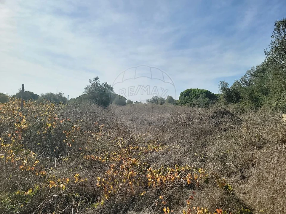 Terreno para Venda em São João das Lampas e Terrugem Foto 27