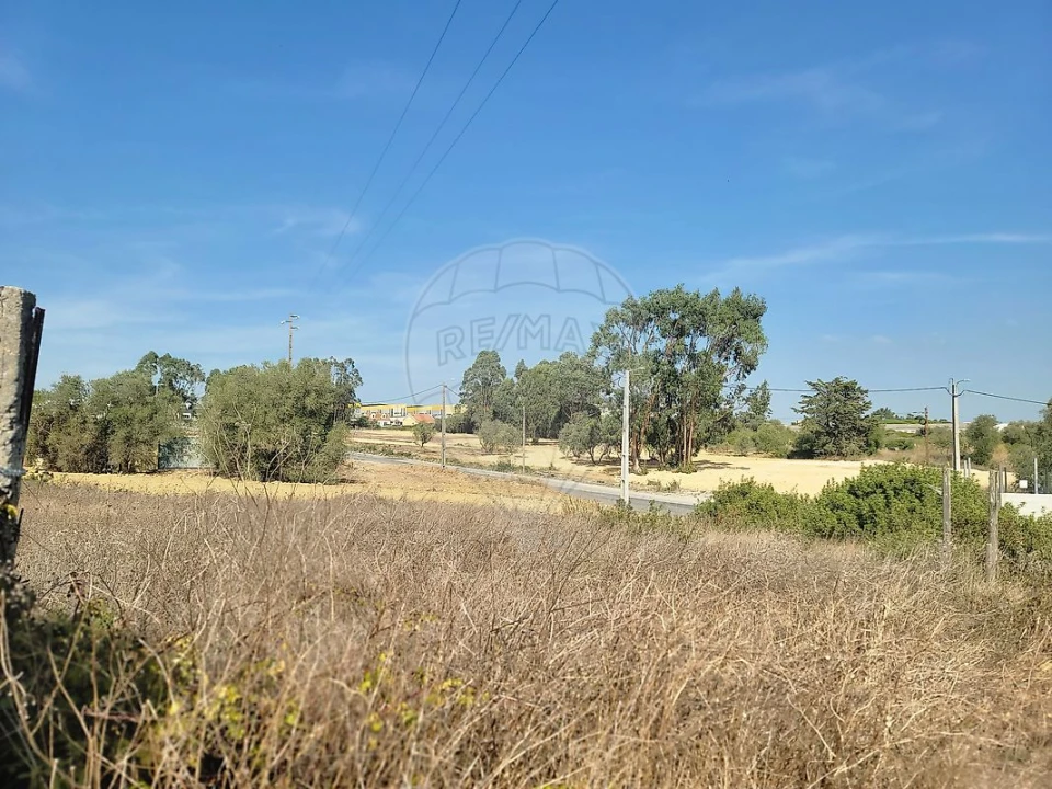 Terreno para Venda em São João das Lampas e Terrugem Foto 24