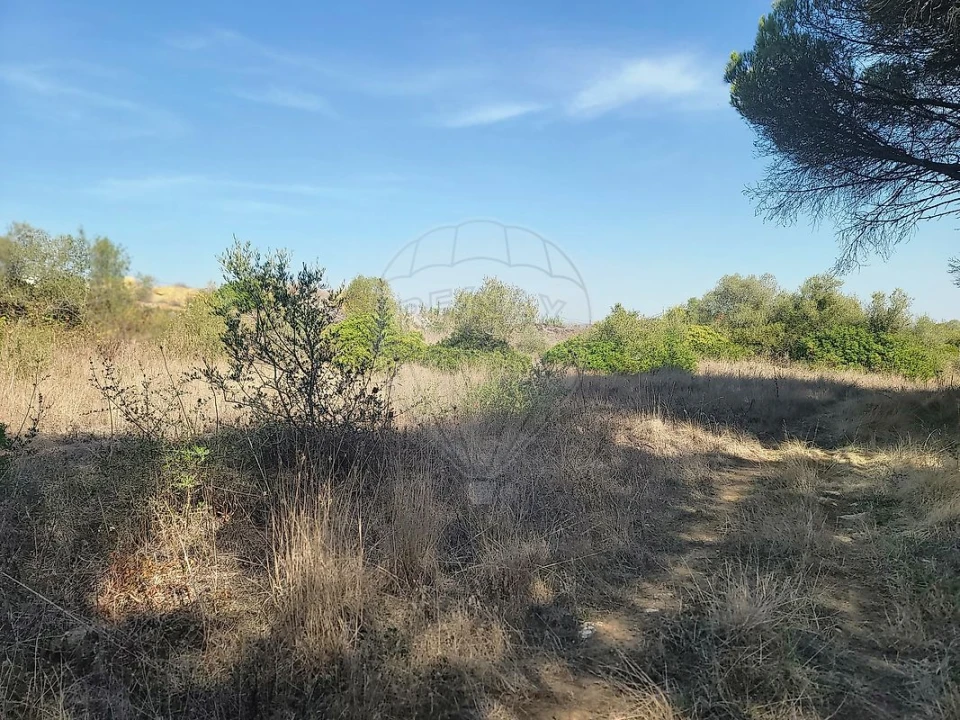 Terreno para Venda em São João das Lampas e Terrugem Foto 12