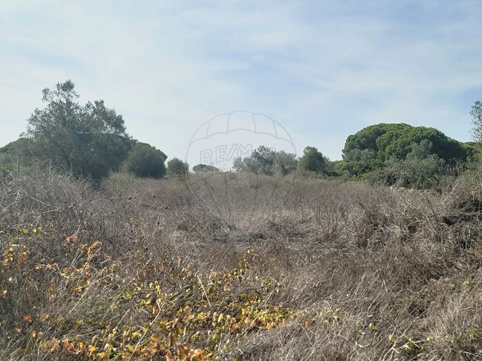 Terreno para Venda em São João das Lampas e Terrugem Foto 23