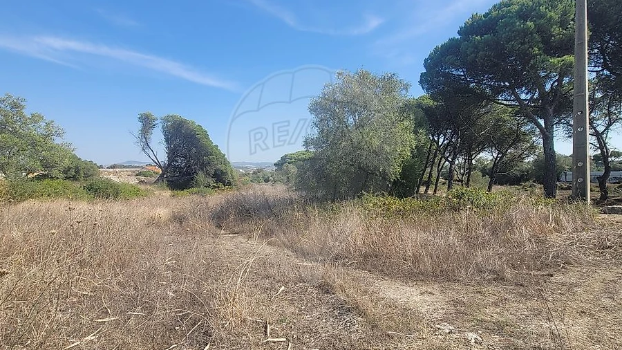 Terreno para Venda em São João das Lampas e Terrugem