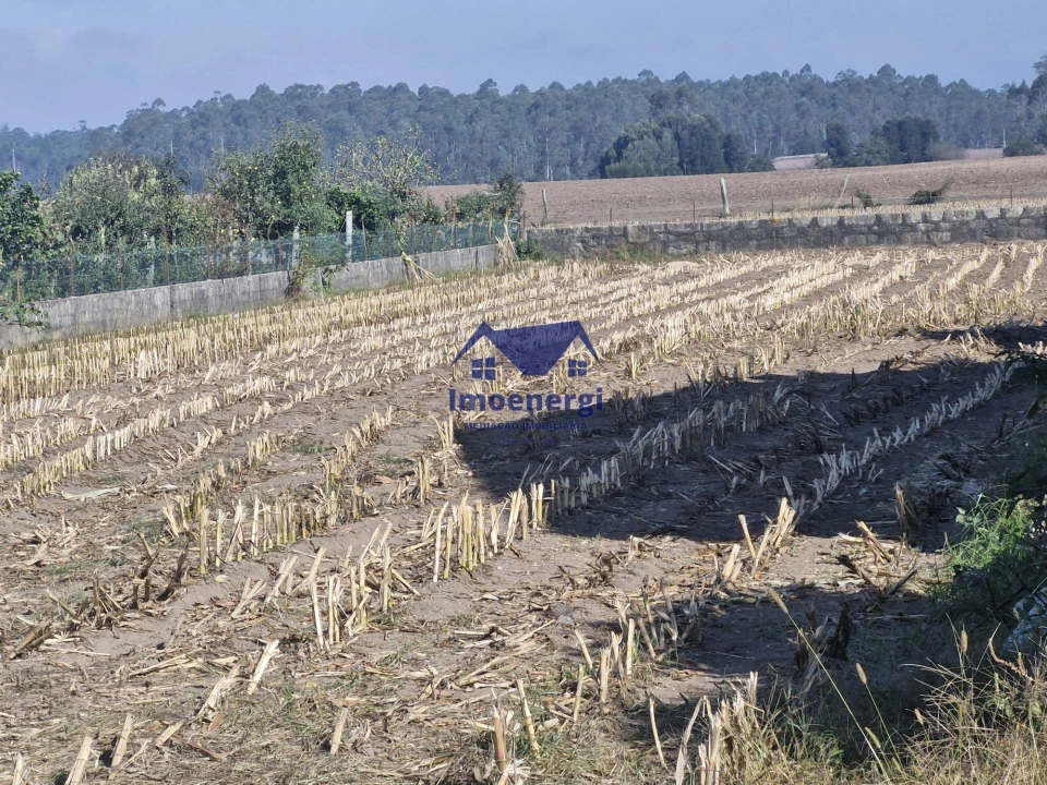 Terreno para Venda em Fajozes Foto 3