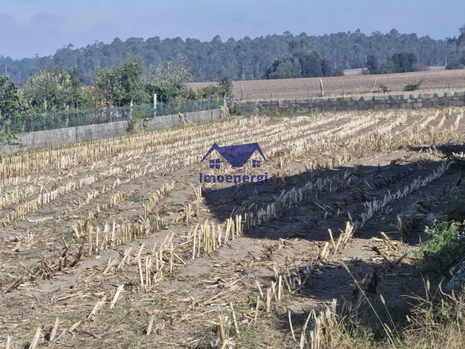 Terreno para Venda em Fajozes Foto 3