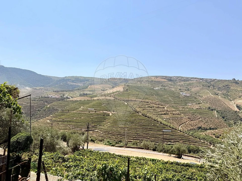 Quinta T0 para Venda em Ervedosa do Douro Foto 17