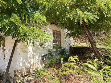 Quinta T0 para Venda em Ervedosa do Douro