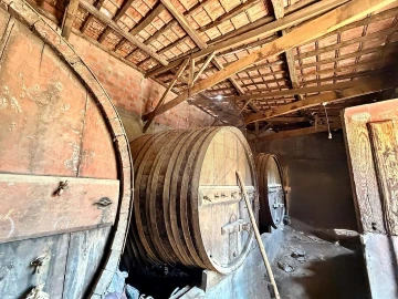 Quinta T0 para Venda em Ervedosa do Douro