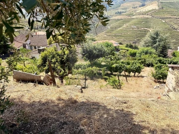 Quinta T0 para Venda em Ervedosa do Douro