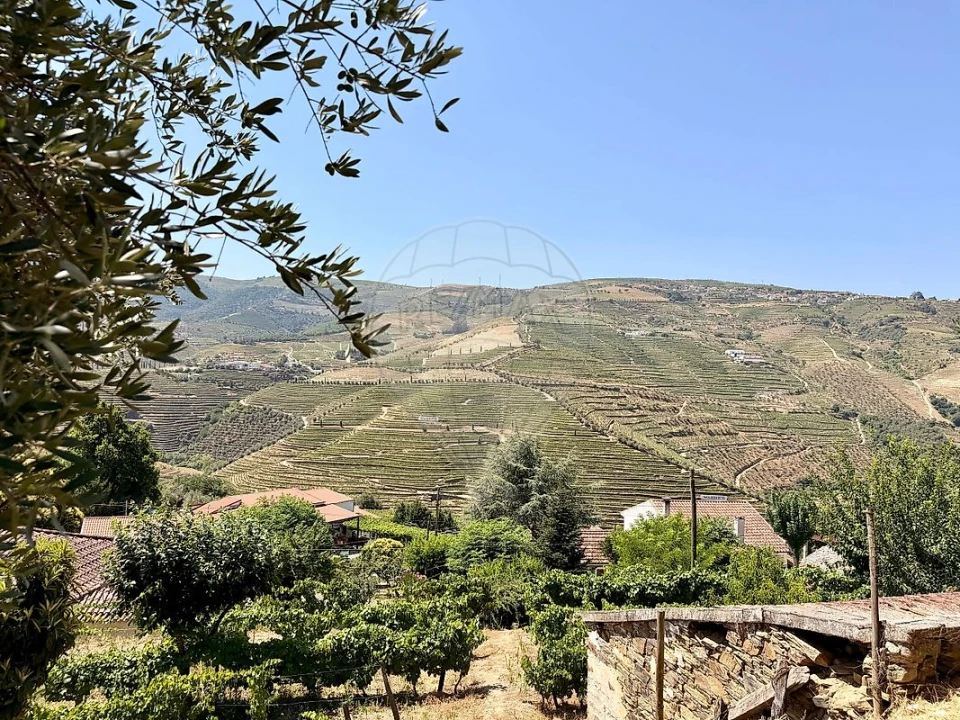 Quinta T0 para Venda em Ervedosa do Douro Foto 3