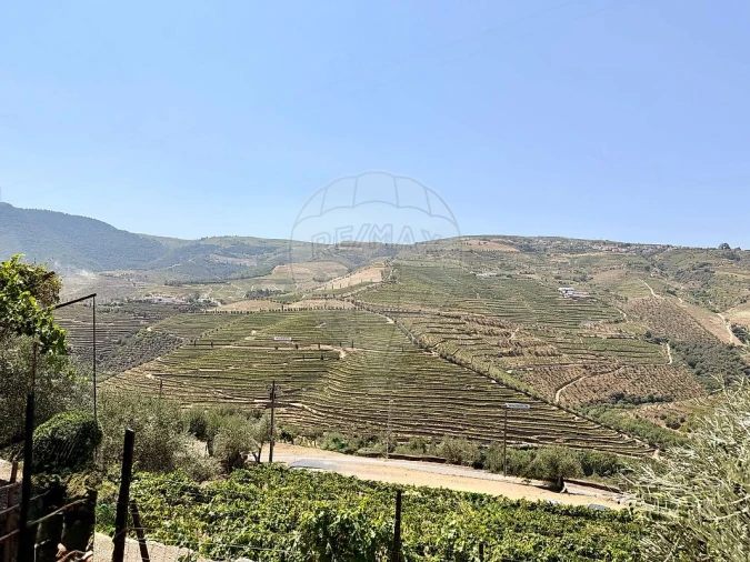 Quinta T0 para Venda em Ervedosa do Douro Foto 17