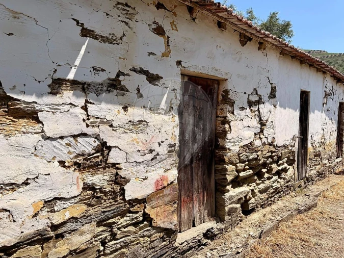 Quinta T0 para Venda em Ervedosa do Douro Foto 5