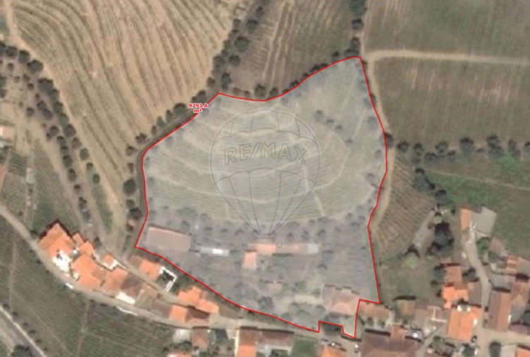 Quinta T0 para Venda em Ervedosa do Douro Foto 33