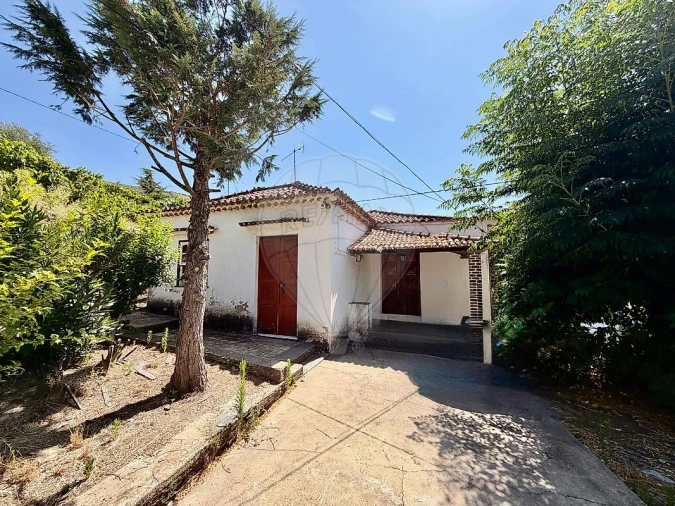 Quinta T0 para Venda em Ervedosa do Douro Foto 22