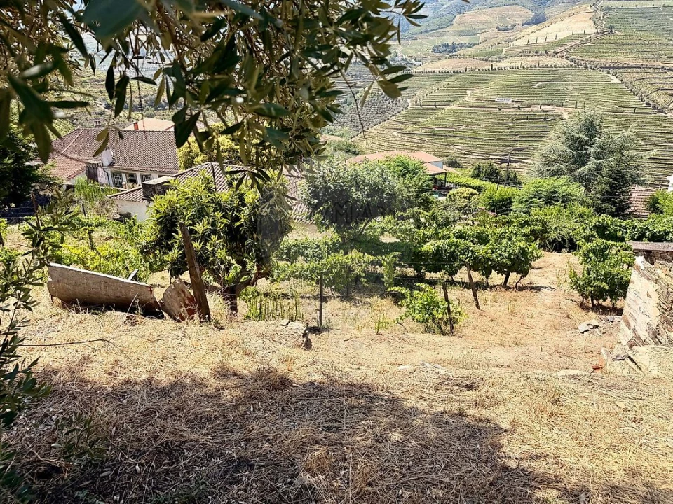Quinta T0 para Venda em Ervedosa do Douro Foto 9