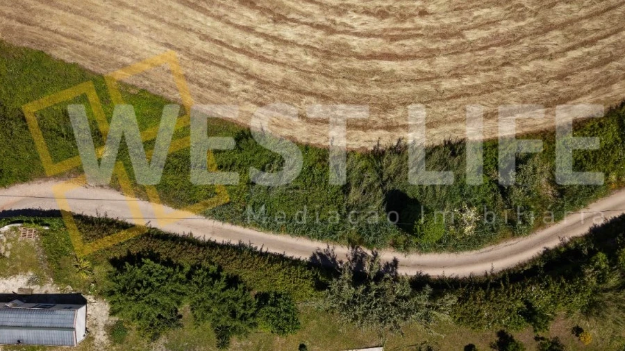 Terreno para Venda em Santo Isidoro