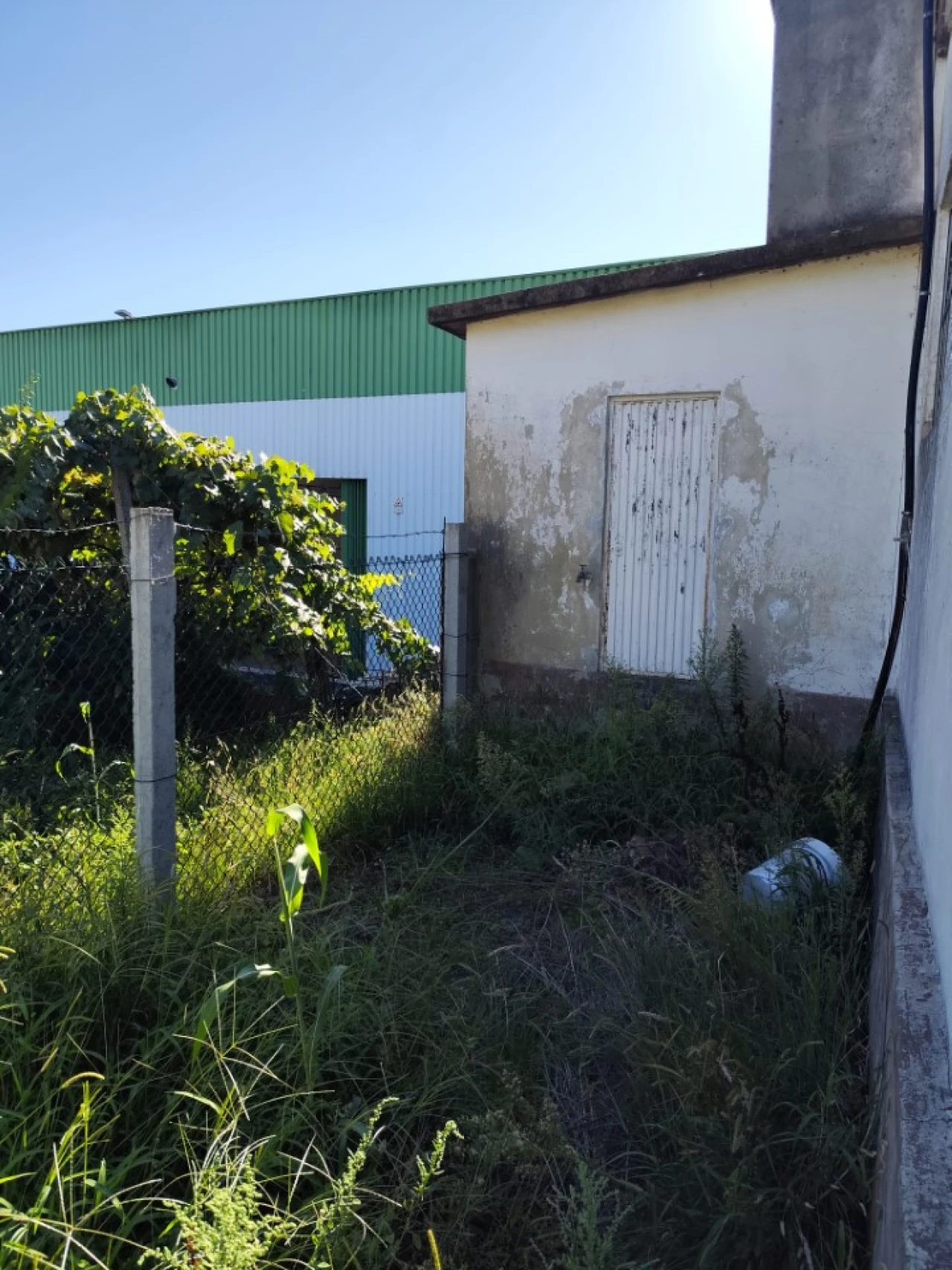 Armazém para Arrendamento em São Martinho da Gandara Foto 11
