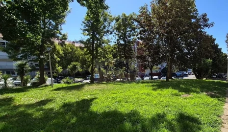 Apartamento T1 para Venda em Massamá e Monte Abraão