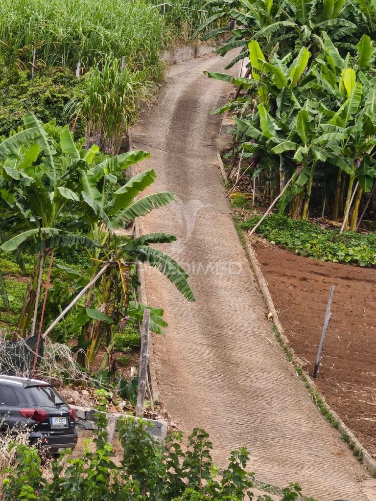 Terreno para Venda em Canhas Foto 3