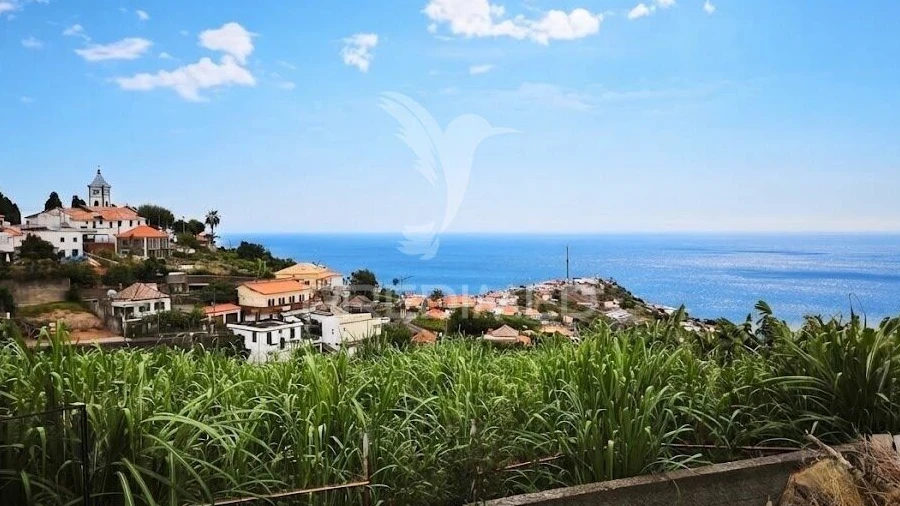 Terreno para Venda em Canhas