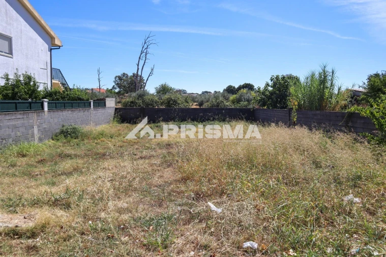 Terreno para Venda em Alcains Foto 6