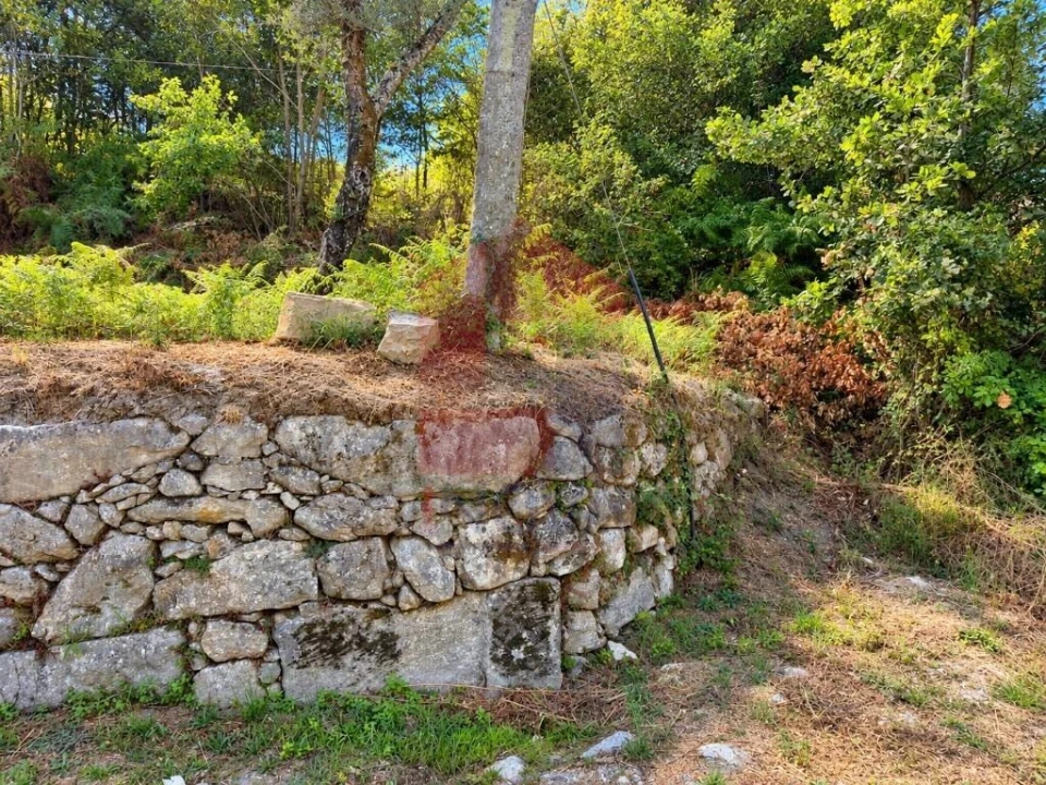 Terreno para Venda em Oriz (Santa Marinha) e Oriz (São Miguel) Foto 3