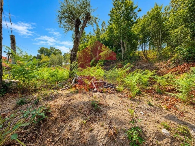 Terreno para Venda em Oriz (Santa Marinha) e Oriz (São Miguel) Foto 4