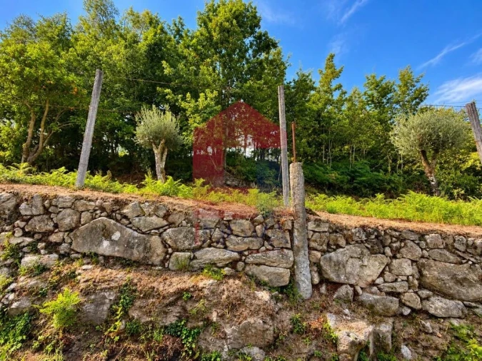 Terreno para Venda em Oriz (Santa Marinha) e Oriz (São Miguel) Foto 5