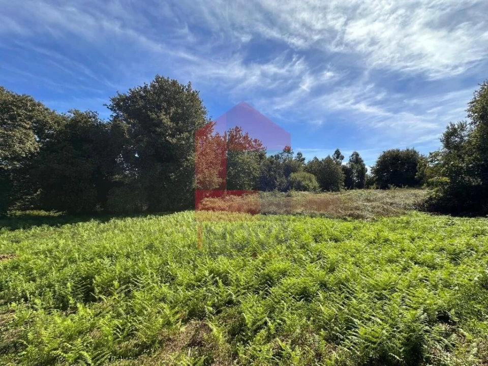Terreno para Venda em Carreiras (São Miguel) e Carreiras (Santiago) Foto 12