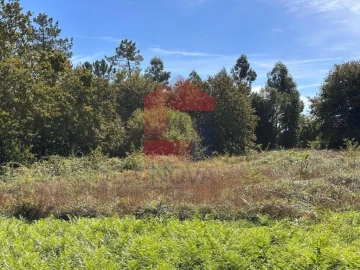Terreno para Venda em Carreiras (São Miguel) e Carreiras (Santiago)