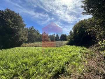 Terreno para Venda em Carreiras (São Miguel) e Carreiras (Santiago)