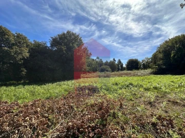 Terreno para Venda em Carreiras (São Miguel) e Carreiras (Santiago)