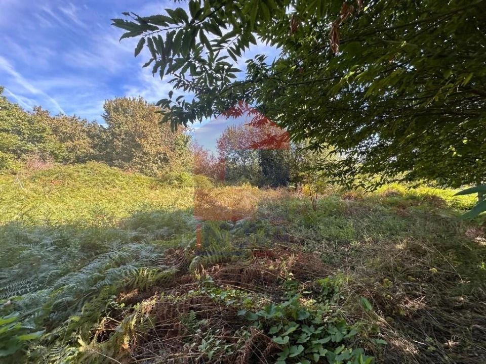 Terreno para Venda em Carreiras (São Miguel) e Carreiras (Santiago) Foto 7