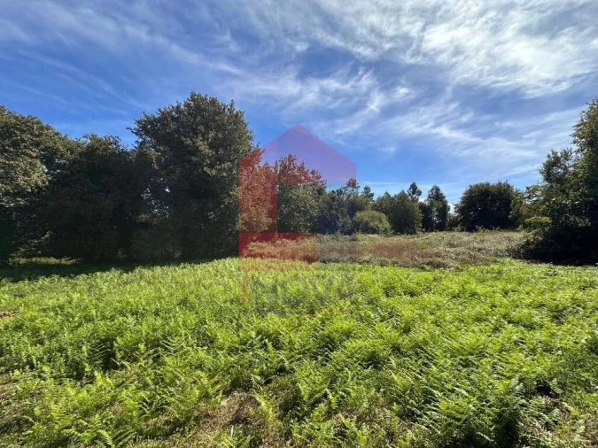 Terreno para Venda em Carreiras (São Miguel) e Carreiras (Santiago) Foto 12